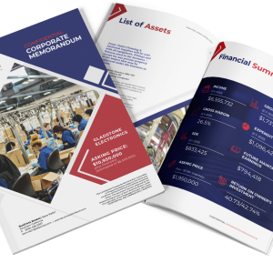 CONFIDENTIAL BUSINESS OVERVIEW (CBO)